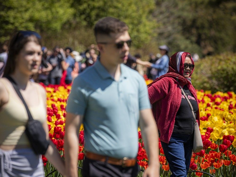  The 73rd Canadian Tulip Festival was busy from the opening ceremony Saturday.
