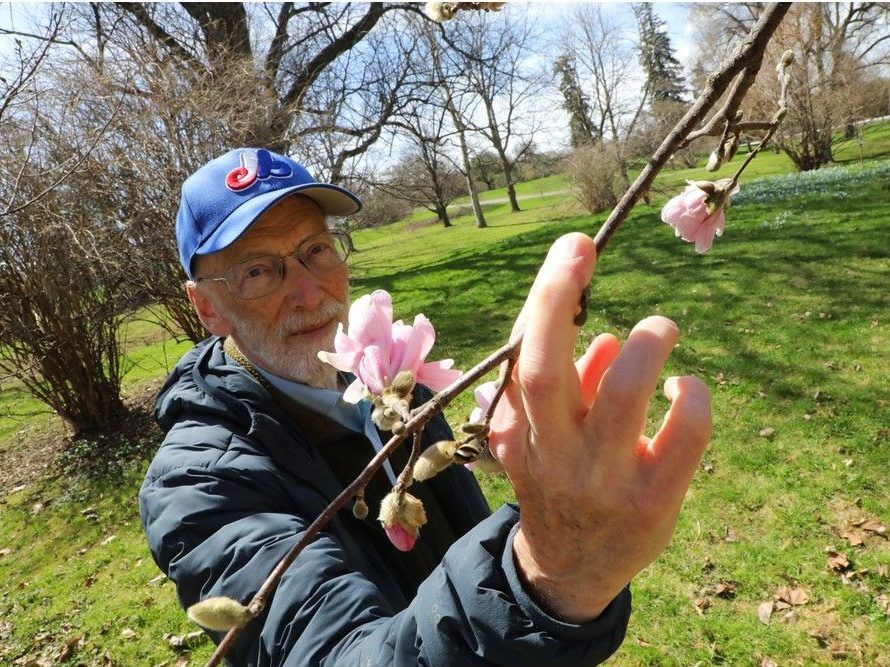  Eric Jones, project director with Friends of the Farm, holds a bloom from one of the Arboretum’s flowering trees. The group recently revived its volunteer-led “bloom time” tracking effort to monitor how Ottawa’s spring is shifting with the climate.