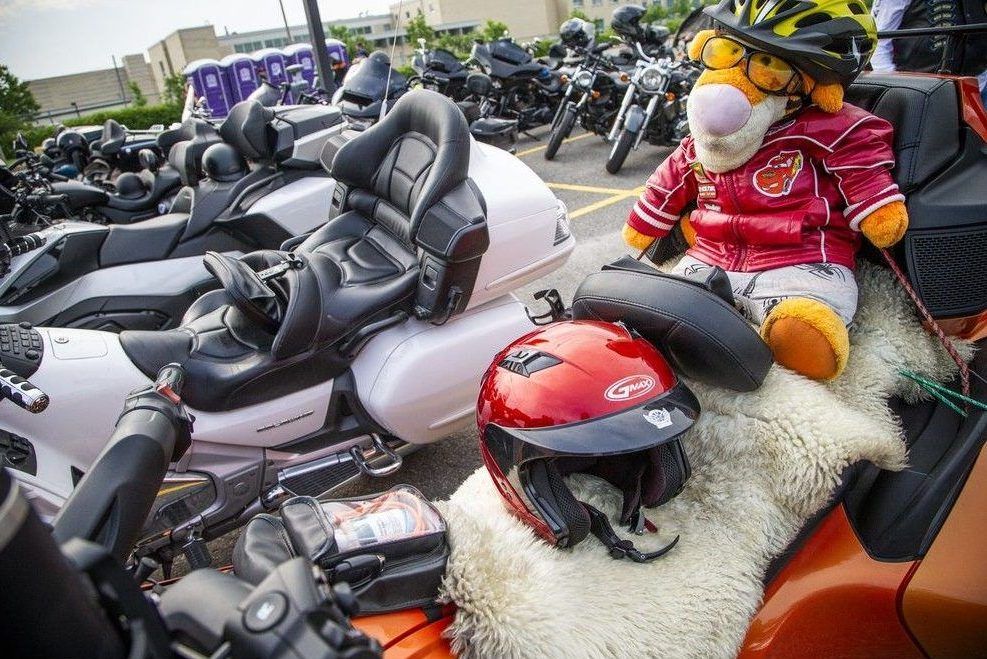  Even a few teddy bears were strapped in and ready to ride, adding a touch of charm to the 25th annual Ride for Dad in Ottawa.