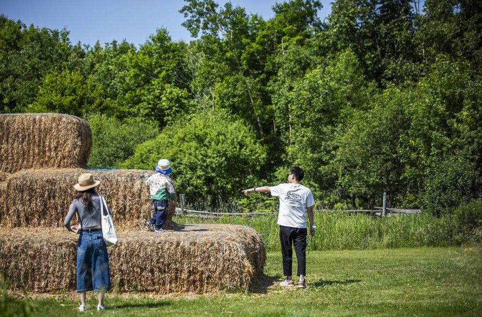  A family at play at The Log Farm.