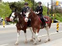 MAY 20, 2025:
Constables Eric Mougeot (left) and Nicola Harrison rode in on Ripp and Will Power respectively to help announce the Ottawa Police Services new mounted unit in front of the Elgin Street station. The new unit pairs specially trained officers with Clydesdale horses - selected for their strength, intelligence and calm demeanour - to help with large crowds, protests, outreach and engagement.
