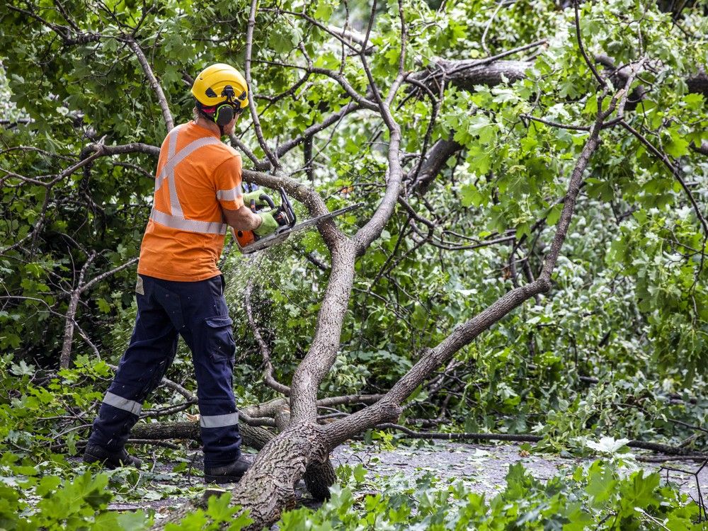 Heavy thunderstorm watch issued for capital region
