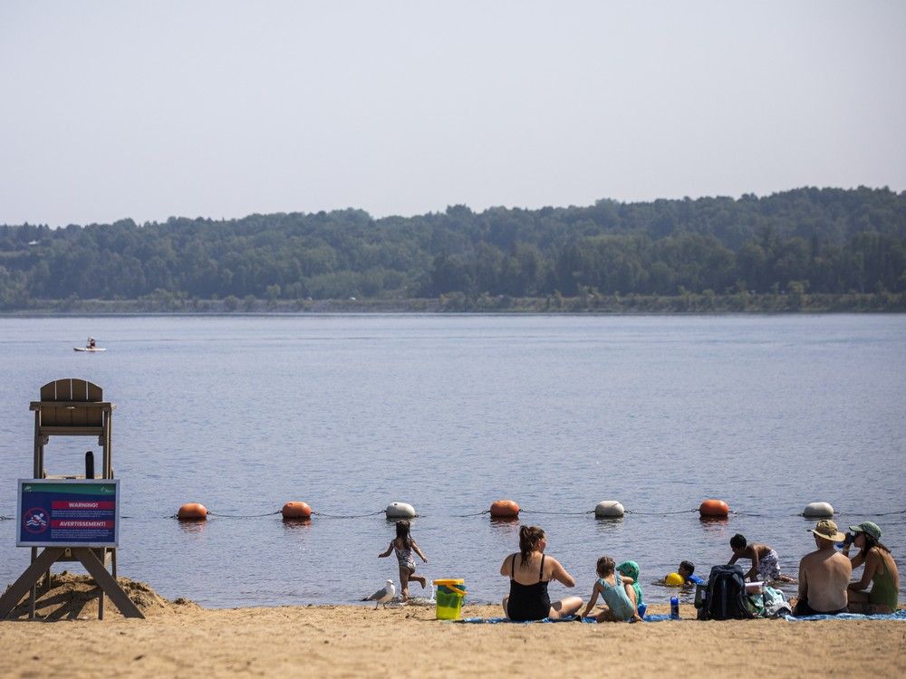 Earlybirds beat the heat at Petrie Island Beach, Saturday Aug. 9, 2025. 

Ashley Fraser/Postmedia