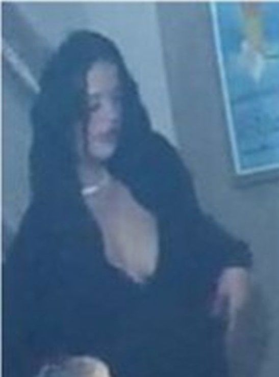 Ottawa police are trying to identify two suspects after an altercation on Montreal Road on July 6, 2025.