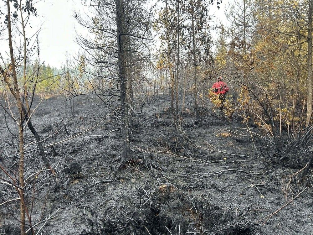  A forest and bog fire ripped through the Alvin Runnalls Forest in the Township of North Dundas just south of Ottawa this week. Fire crews and rain helped reduce the fire to about a tenth of its size overnight Monday.