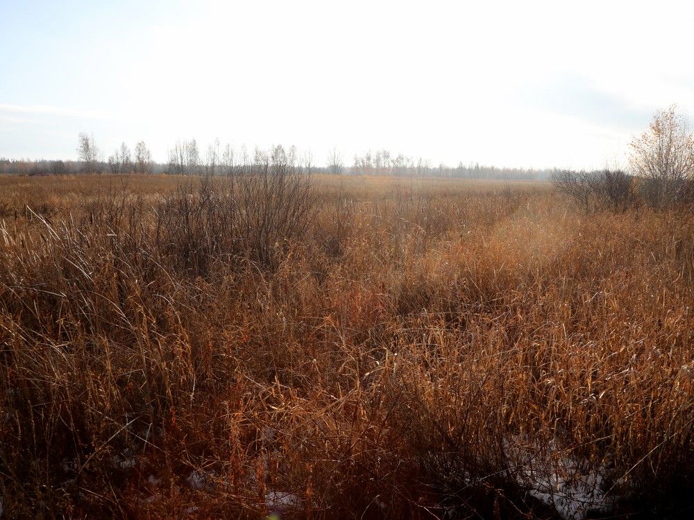 Location of a potential landfill near Carlsbad Springs. The city will proceed with a  bit for the privately owned property.