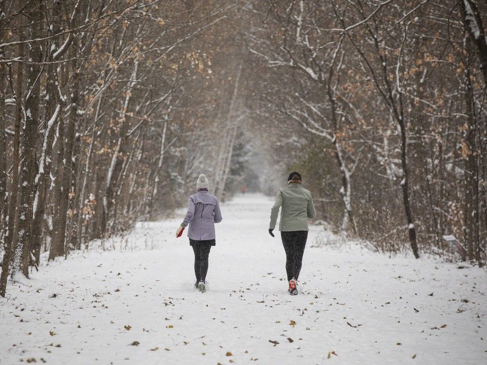  Despite heavy snowfall, dog walkers and runners moved through Stittsville’s trails with ease on Sunday, Nov. 30, 2025.