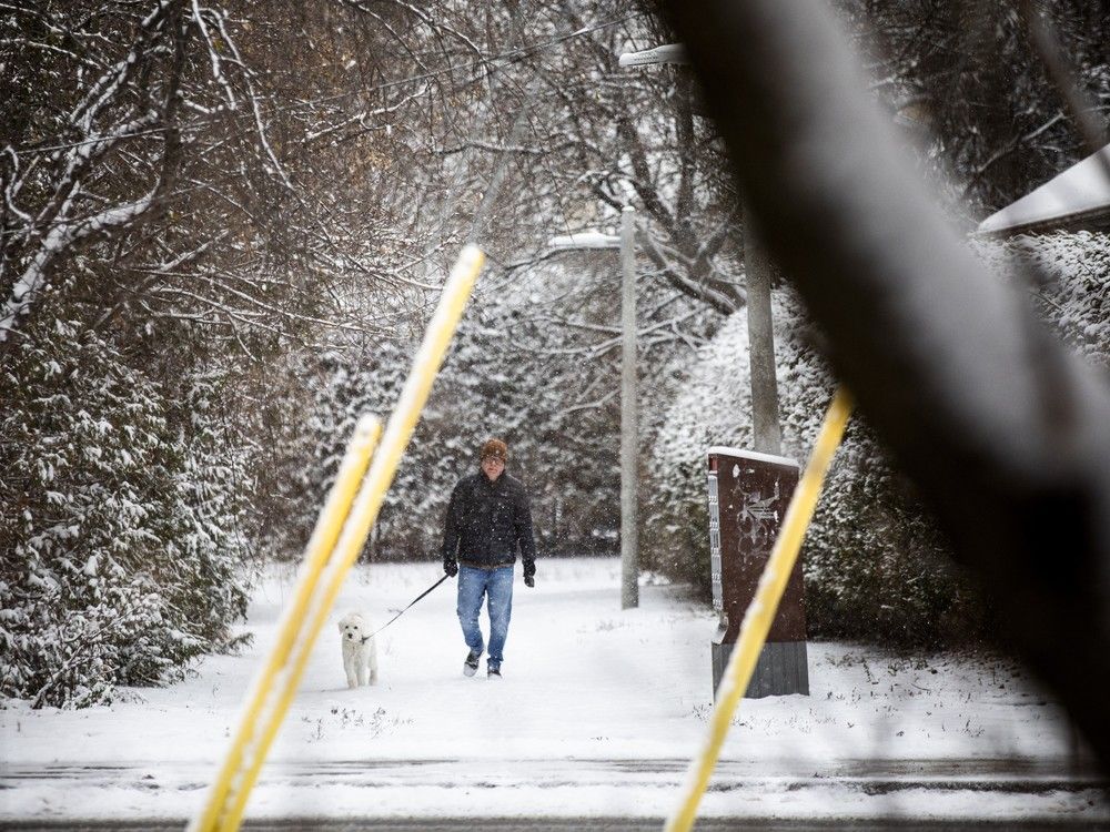  Despite the snowfall, dog walkers and runners moved briskly through Stittsville’s trails on Sunday, Nov. 30, 2025.