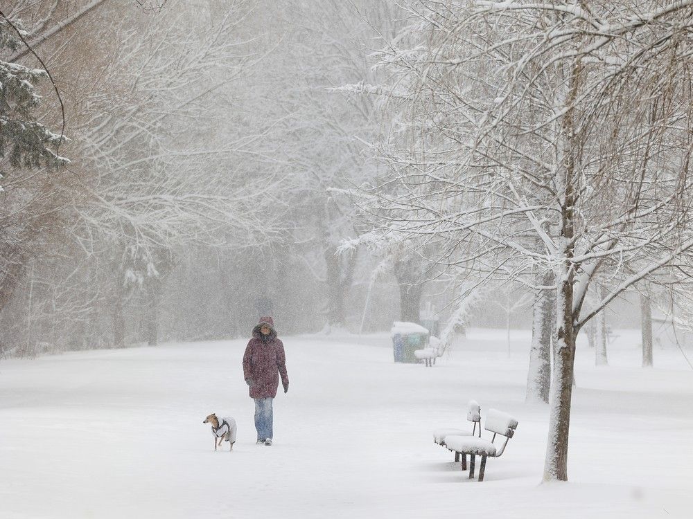 The city's public works department has once again decided not to update its Winter Maintenance Quality Standards. | Opinion