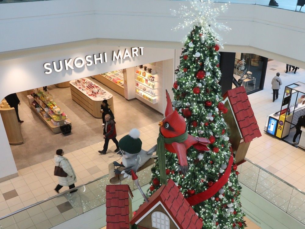  Bayshore Shopping Centre has a very tall Christmas tree on display this December