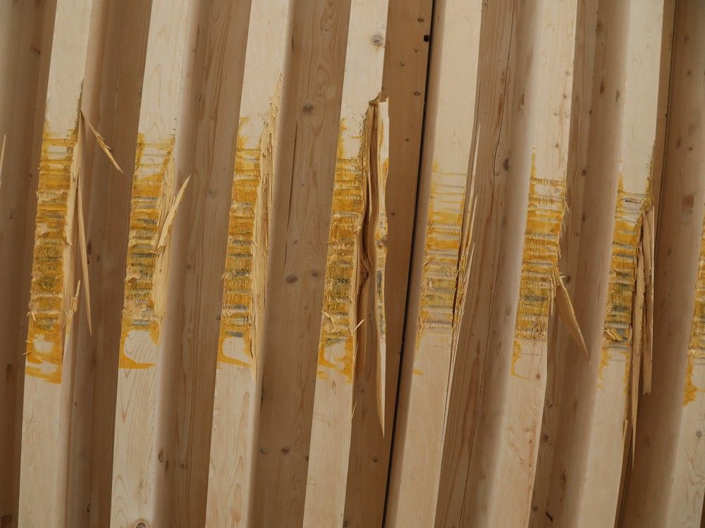  The new lookout at Kiweki Point has been damaged by a school bus, the NCC said.