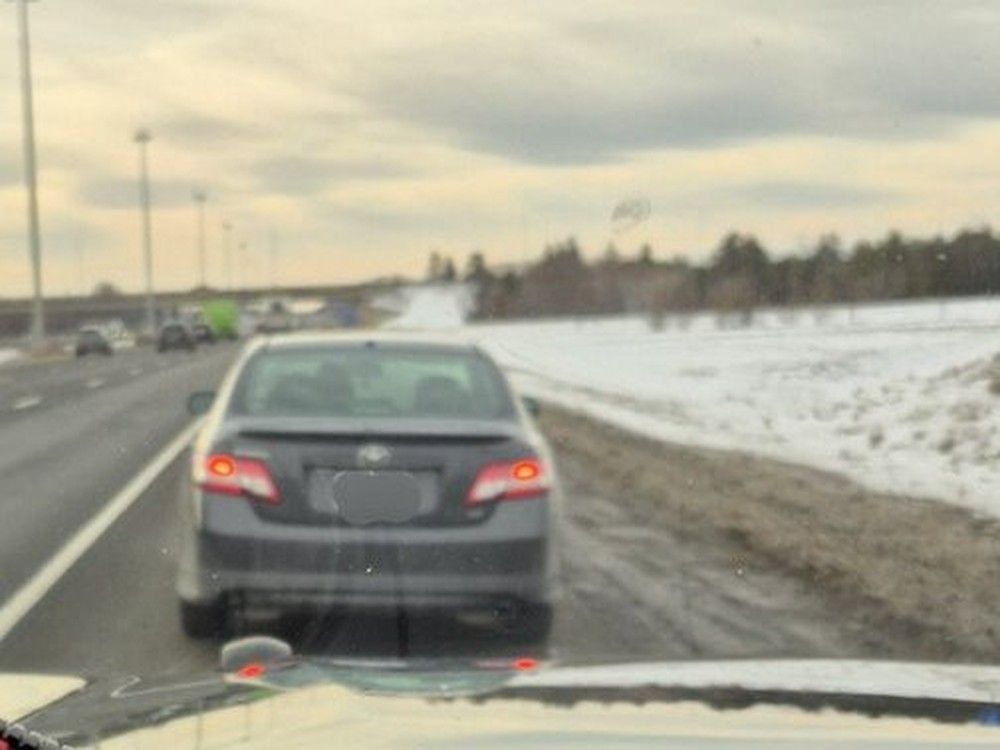 Driver in Kanata learns kitties don’t qualify as HOV lane passengers