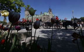 OTTAWA - May 27, 2025 -- King Charles and Queen Camilla were greeted by thousands of fans as they made their way to the Senate of Canada Tuesday morning where the king officially opened Parliament.