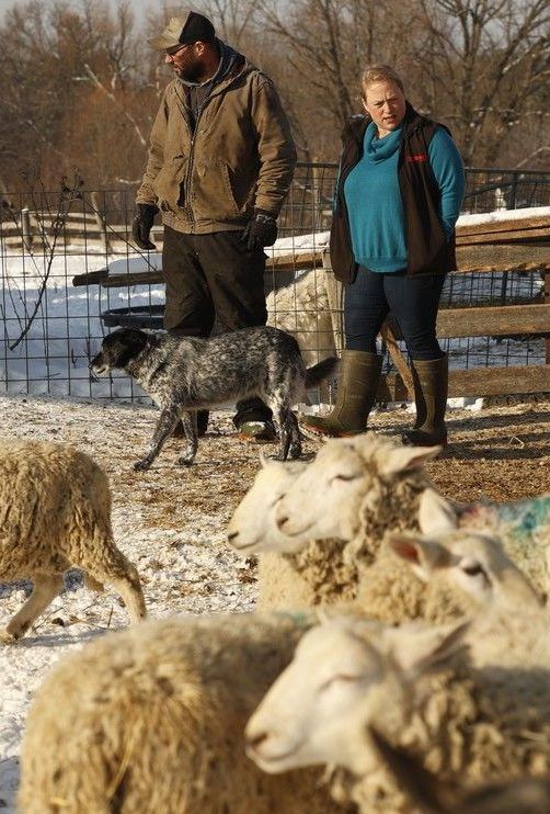 Chris Moore and Lyndsey Smith at their farm near Carp. Chris Moore and Lyndsey Smith at their farm near Carp.