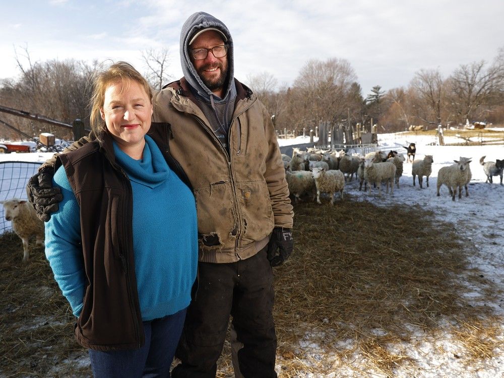 Chris Moore and his wife, Lyndsey Smith, pose for a photo at their farm near Carp. Moore and Smith own Shady Creek Lamb Co. Chris Moore and his wife, Lyndsey Smith, pose for a photo at their farm near Carp. Moore and Smith own Shady Creek Lamb Co.