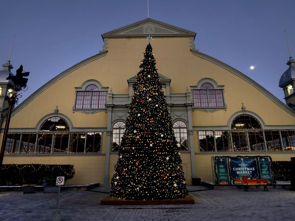  OTTAWA – Dec 2, 2025 — A 40-foot-tall Christmas tree at Lansdowne Park in Ottawa.
