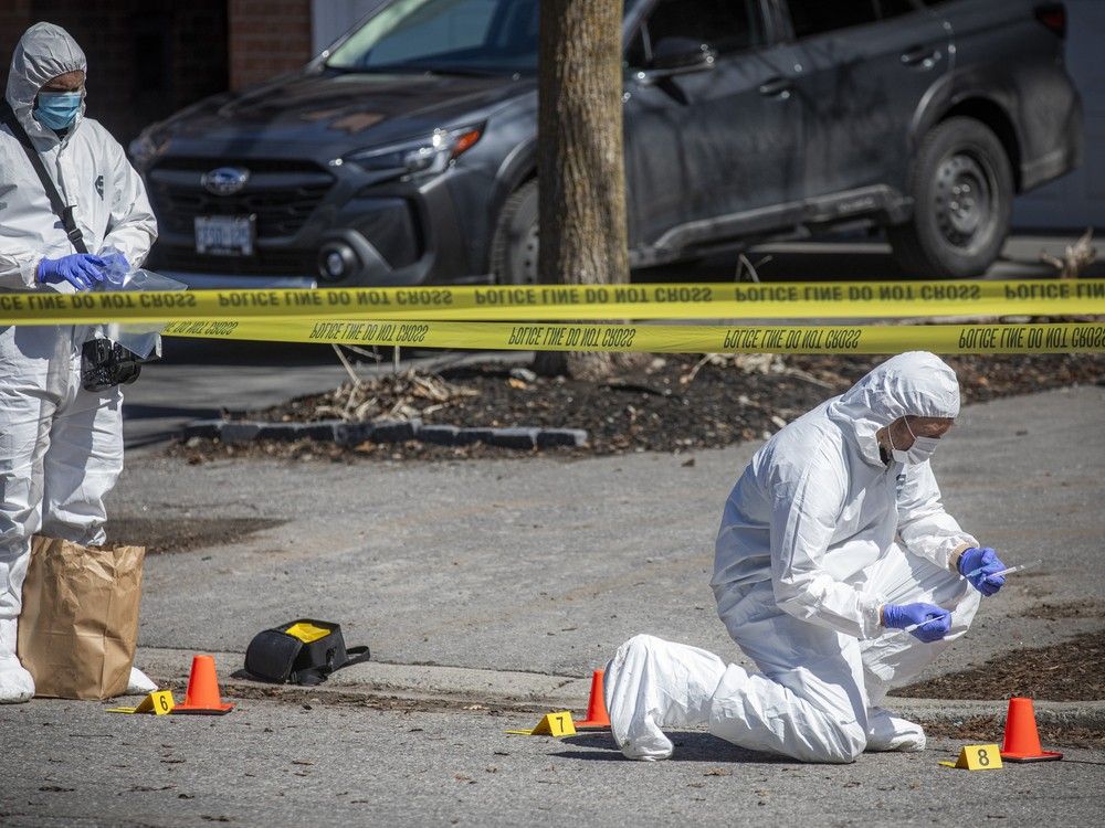 Ottawa Police Service investigators at the scene of a homicide on April 4. Trevor Howard Needham was found dead in a residence on Provender Avenue. Ottawa Police Service investigators at the scene of a homicide on April 4. Trevor Howard Needham was found dead in a residence on Provender Avenue.