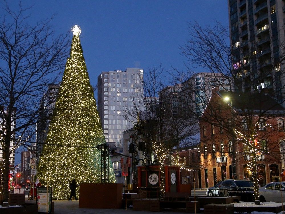 OTTAWA. DEC 2, 2025 Byward Market’s 48 foot Christmas tree is the tallest across Ottawa.
