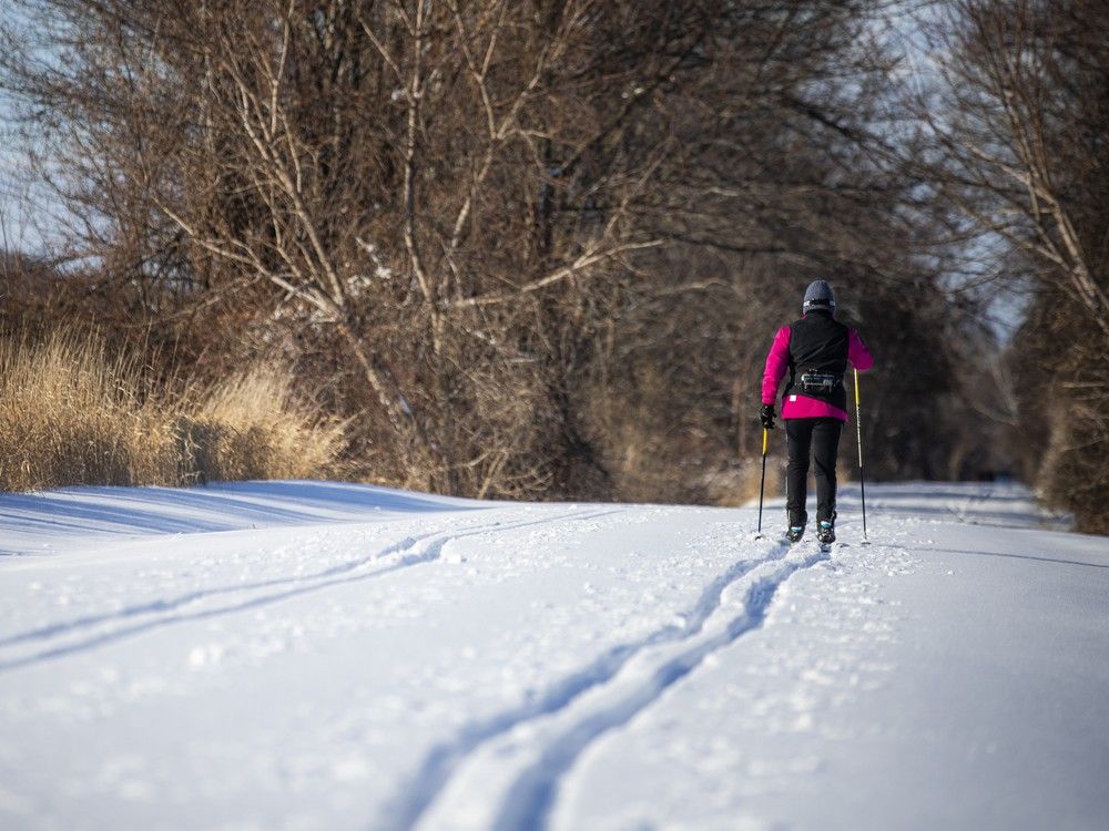  Cross-country skiers glide along the Ottawa West Winter Trail under bright sunshine Sunday morning, making the most of fresh overnight snowfall as winter sports lovers braved the chilly wind for a perfect midwinter outing.Ashley Fraser/Postmedia