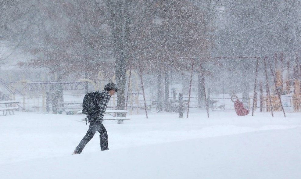  A student crosses Westboro Kiwanis Park while Ottawa was receiving a significant snow fall, January 15, 2026.