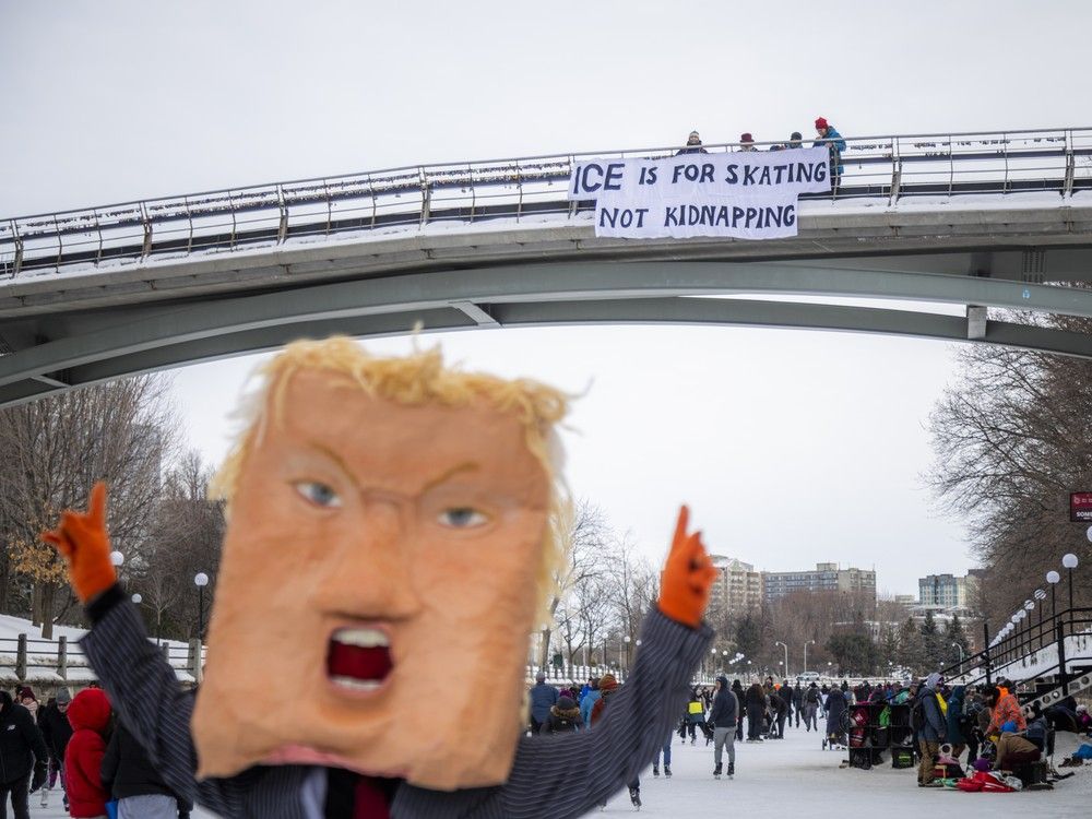 Puppet artist Velvet LeClair, dressed as Donald Trump, walked along the Rideau Canal alongside anti-ICE activists, drawing crowds who stopped for selfies. A banner reading “ICE is for skating, not kidnapping” hung from the Corktown Footbridge on Sunday, Feb. 15, 2026. Puppet artist Velvet LeClair, dressed as Donald Trump, walked along the Rideau Canal alongside anti-ICE activists, drawing crowds who stopped for selfies. A banner reading “ICE is for skating, not kidnapping” hung from the Corktown Footbridge on Sunday, Feb. 15, 2026.