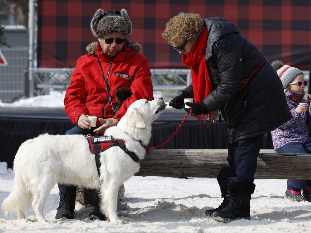 Families and their best friends were out enjoying the last day of Winterlude at Confederation Park on Monday. Families and their best friends were out enjoying the last day of Winterlude at Confederation Park on Monday.