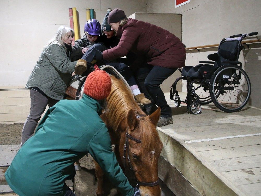  Here, Keira Reaney is lifted onto her beloved horse, Chico, from a ramp before her lesson.