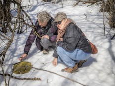 Andrea Prazmowski Forest Therapy Ottawa