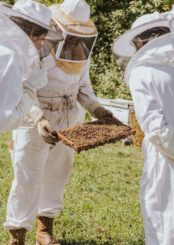 Vankleek Hill beekeepers Russell Gibbs and Andrea Glenn run Gibbs Honey, a third-generation family business. Vankleek Hill beekeepers Russell Gibbs and Andrea Glenn run Gibbs Honey, a third-generation family business.