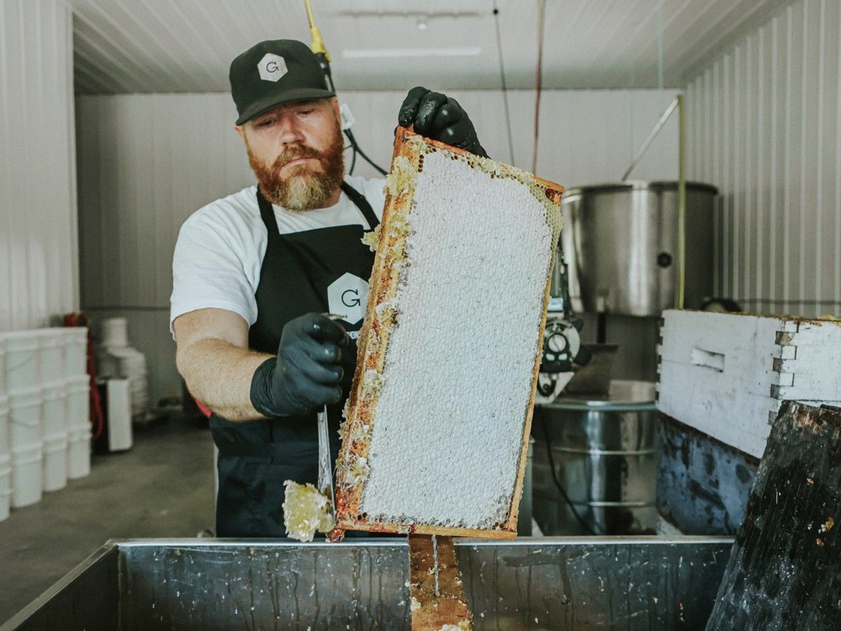 Why these Eastern Ontario beekeepers dread the high-speed rail megaproject