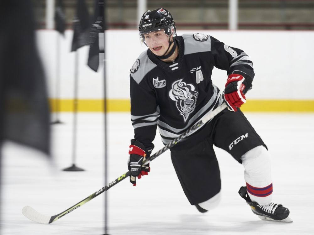 Michael Andlauer eyes Gatineau Olympiques as Senators seek deeper Quebec connection