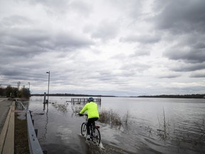 A cyclist makes his way through a flooded path between Rue Jacques-Cartier and the Ottawa River Sunday afternoon.