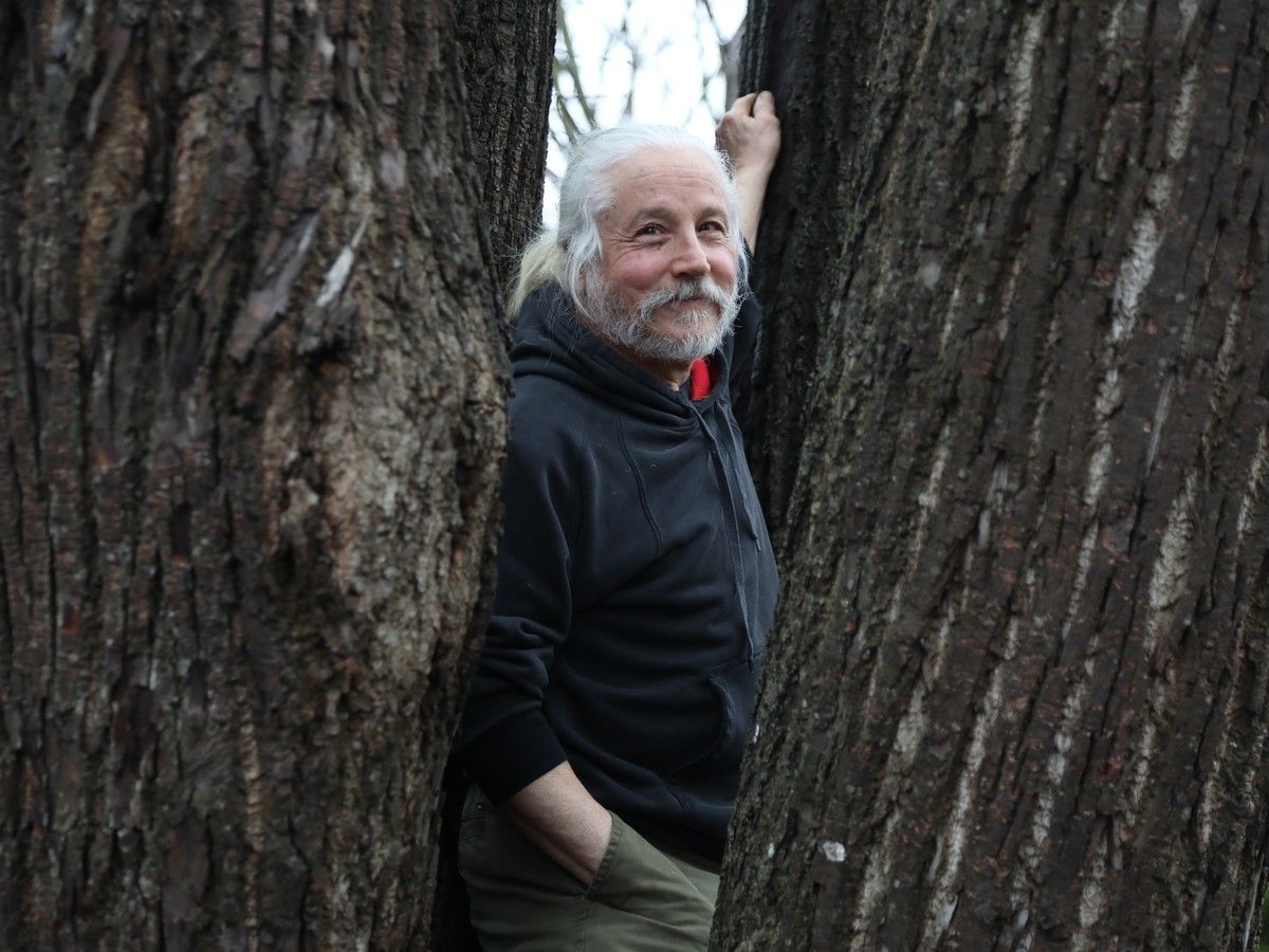 Felled by LRT construction, part of this elm tree is getting new life at the Ottawa library