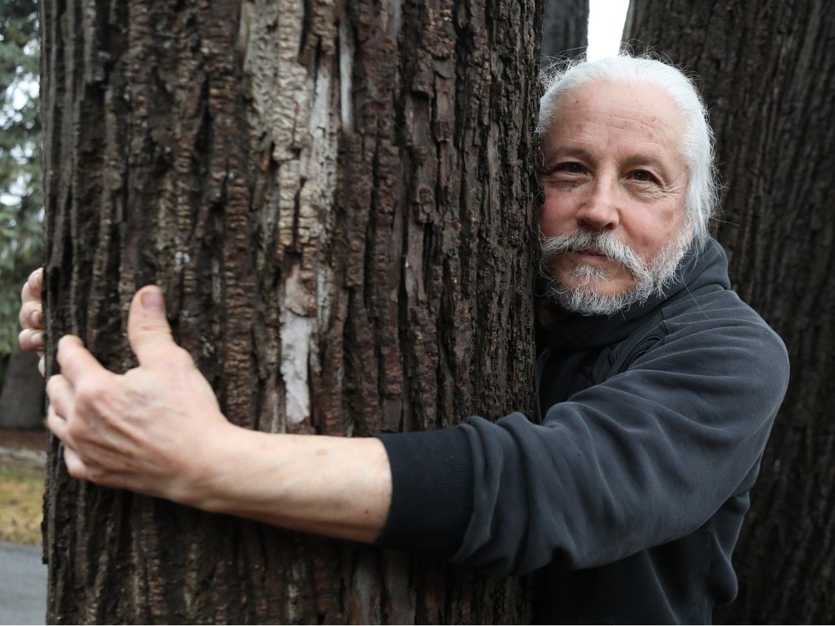  Tom Marcantonio loves his trees. Tom managed to save pieces of a cut elm tree to be converted into a coffee table for the Carlingwood library.