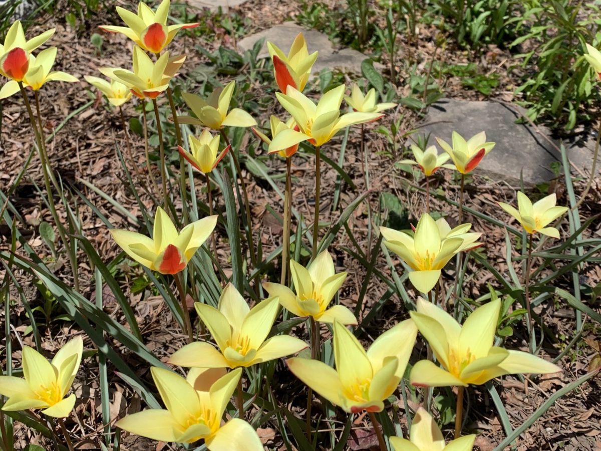 Spring clean-up: A journey, not a destination