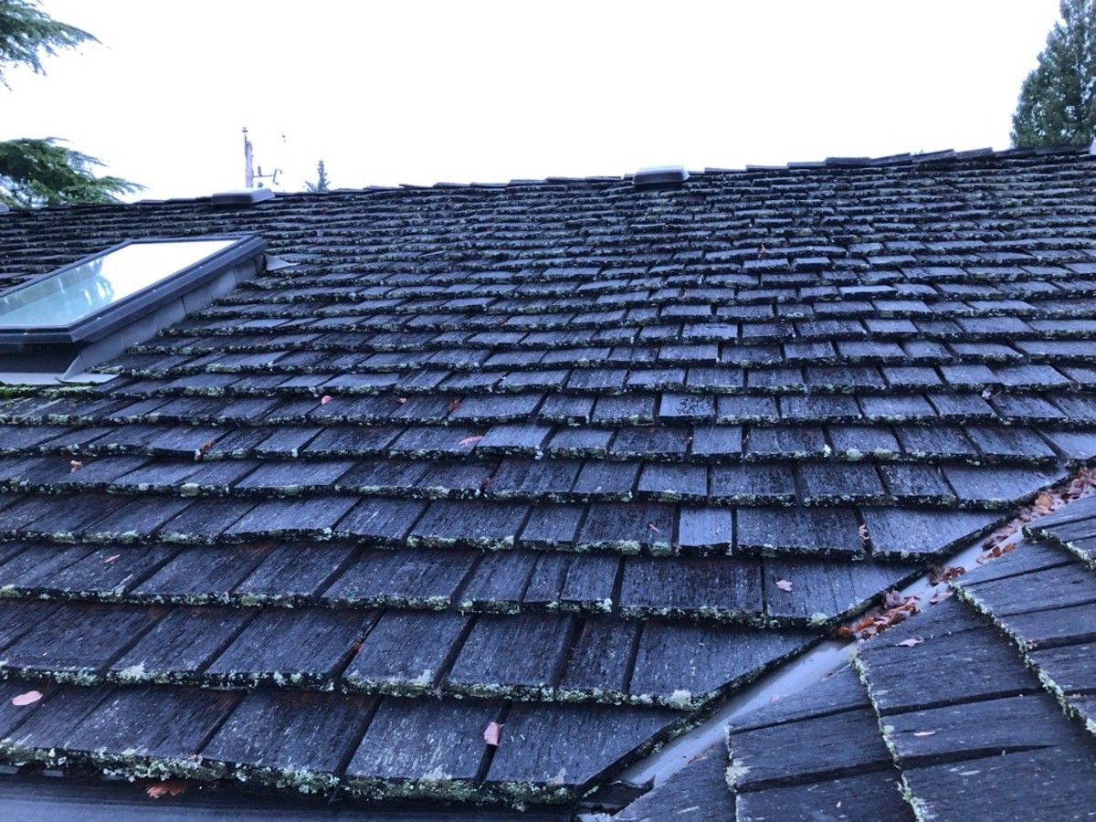 Houseworks: Taking care of roof and deck duties