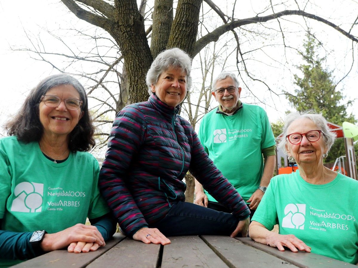 Filling in the Centretown canopy, one new tree at a time