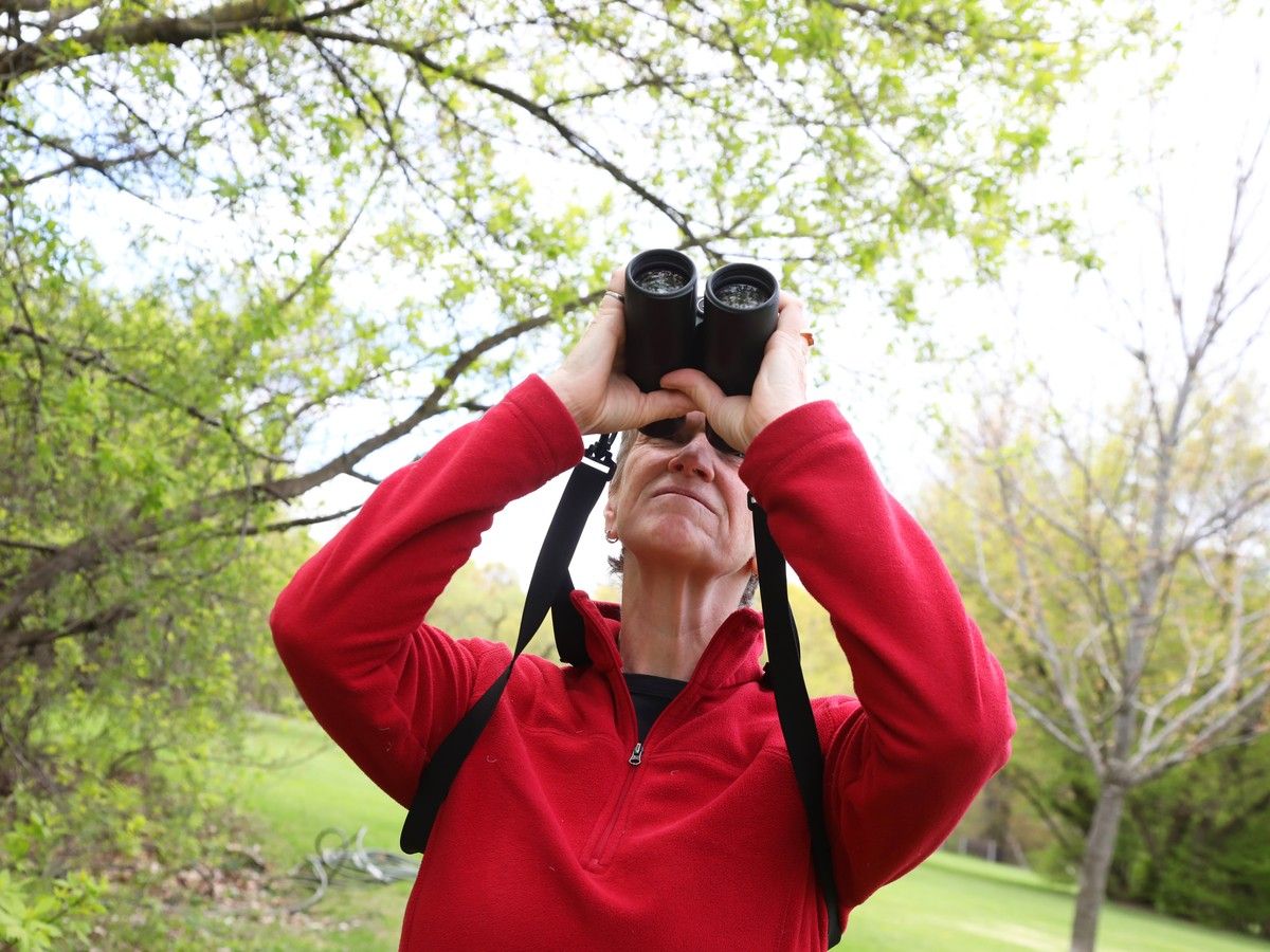  Thanks to years of local advocacy and stewardship, the City of Ottawa is now a certified Bird Friendly City. Emilia Michaud is the chair of the Ottawa Field Naturalists Club birding committee and was also one of the walk leaders at the recent Bird-Friendly Ottawa Jane’s Walk.