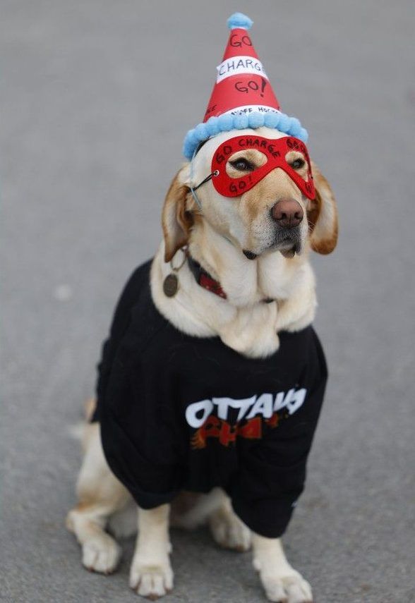  Olive the 3rd shows off support for the Ottawa Charge before Game 3 of the playoff series against the Boston Fleet outside the Canadian Tire Centre on Friday.
