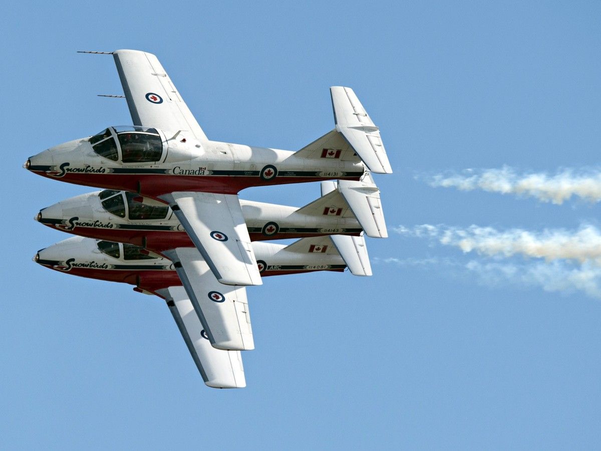 RCAF rejected purchase of interim replacement aircraft for Snowbirds in 2019: documents