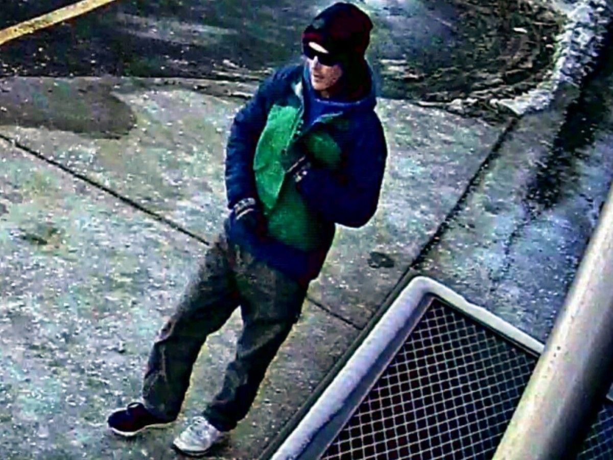 Ottawa police, looking into assault of two women on Riverside Drive, ask for help