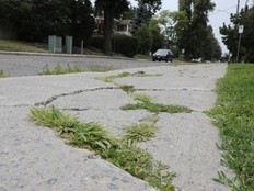 cracked sidewalk
