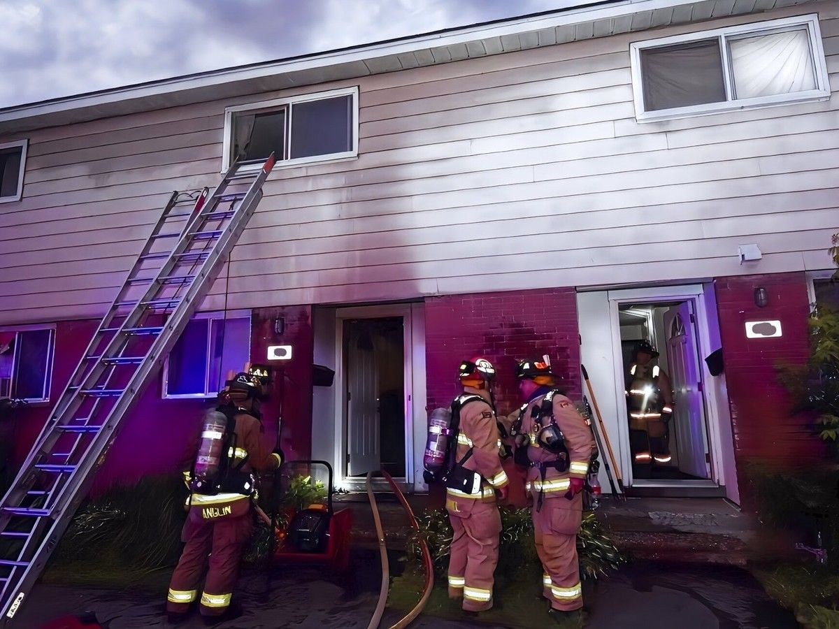 Dog, cat dead, three people taken to hospital as crews called to three fires