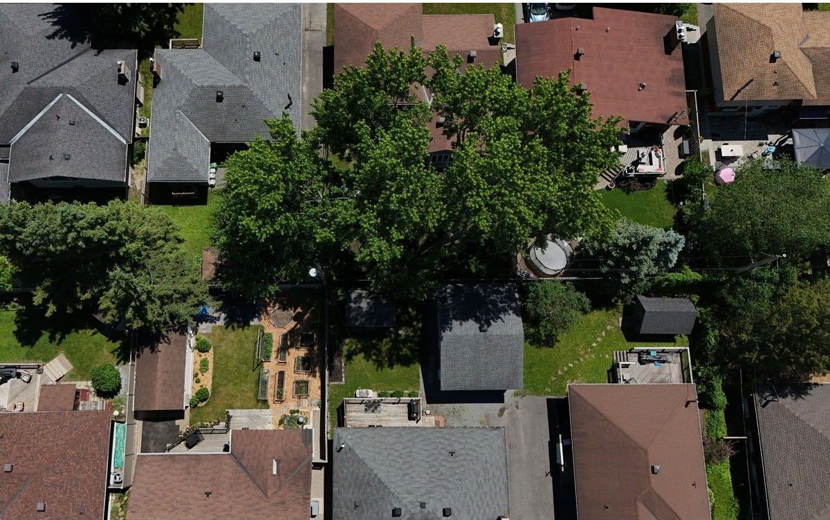 The Copeland Park neighbourhood seen from above. The maple trees are spreading their roots and damaging houses, but the city wont allow them to be cut down. The Copeland Park neighbourhood seen from above. The maple trees are spreading their roots and damaging houses, but the city wont allow them to be cut down.