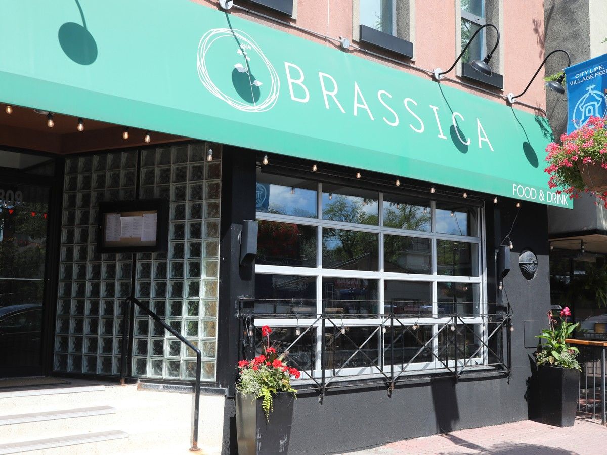 Brassica