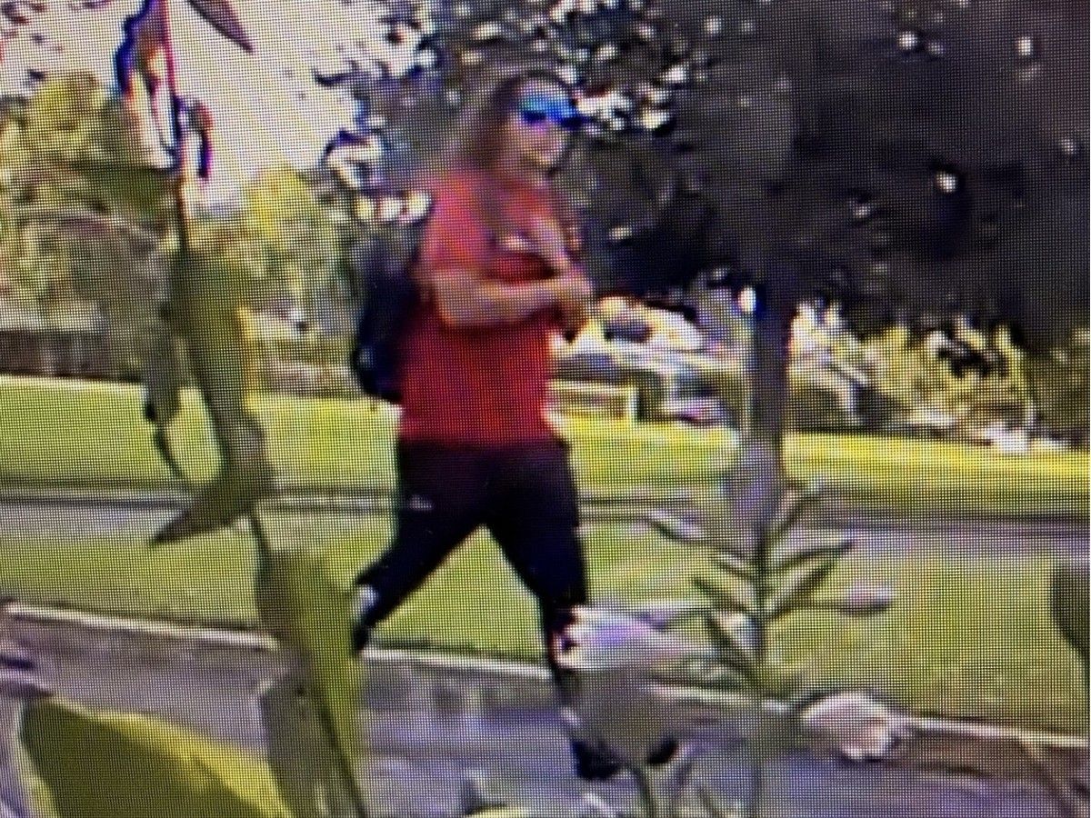 The Ottawa Police Service is seeking the public’s assistance to identify a suspect after a custom-built adult tricycle was stolen in the Alta Vista area. The Ottawa Police Service is seeking the public’s assistance to identify a suspect after a custom-built adult tricycle was stolen in the Alta Vista area.