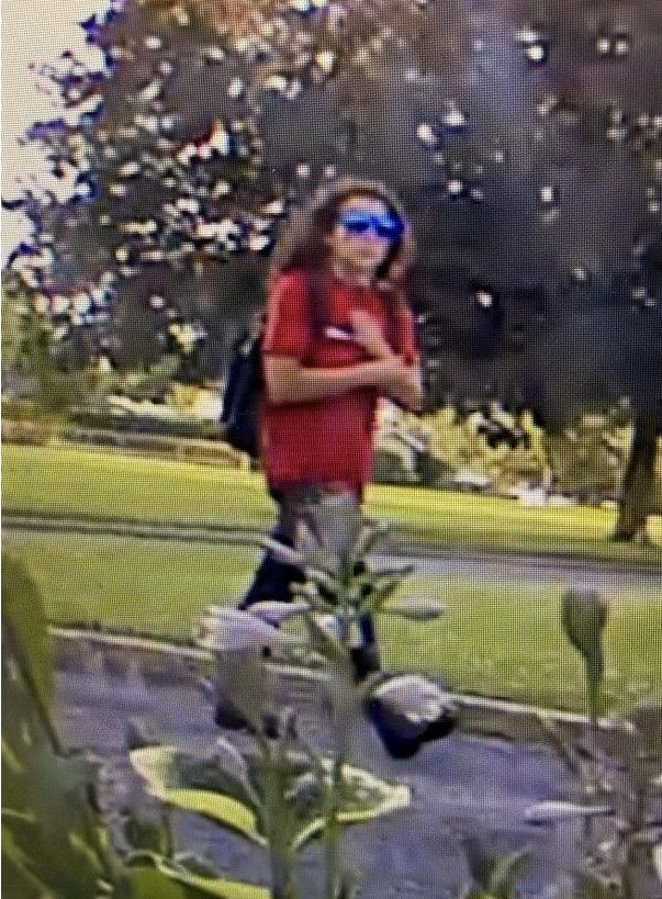 The Ottawa Police Service is seeking the public’s assistance to identify a suspect after a custom-built adult tricycle was stolen in the Alta Vista area. The Ottawa Police Service is seeking the public’s assistance to identify a suspect after a custom-built adult tricycle was stolen in the Alta Vista area.