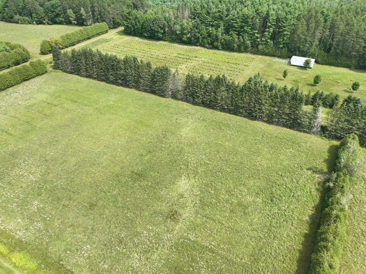 Tornado near Kemptville on Aug. 2 confirmed