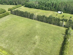 Kemptville tornado