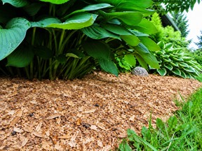 Mulch